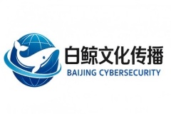 【白鲸文化】“湛江制造 + 前海研发”：产业协同的底层逻辑，也是内容适配的底层逻辑